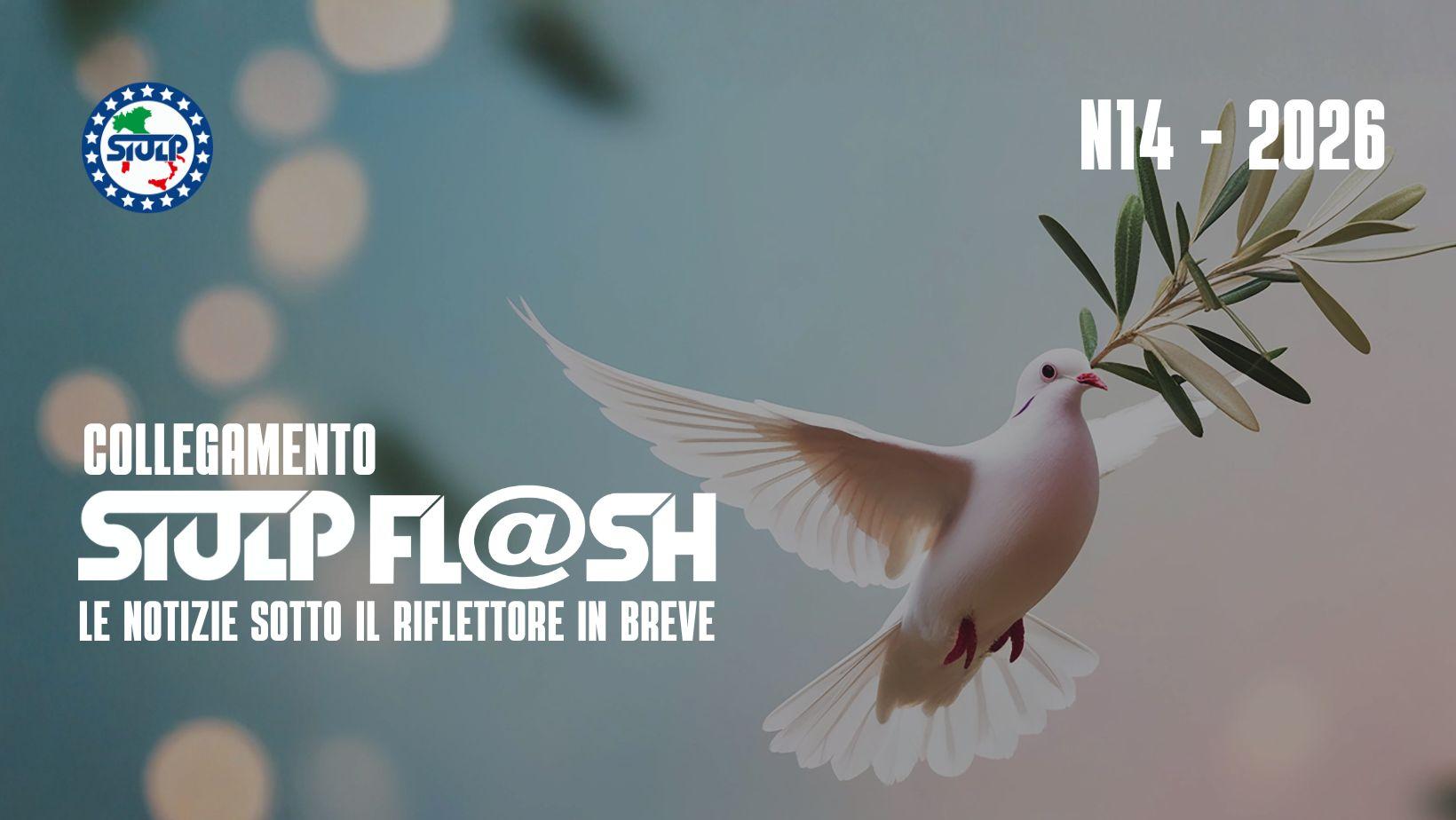 Flash 14 2026