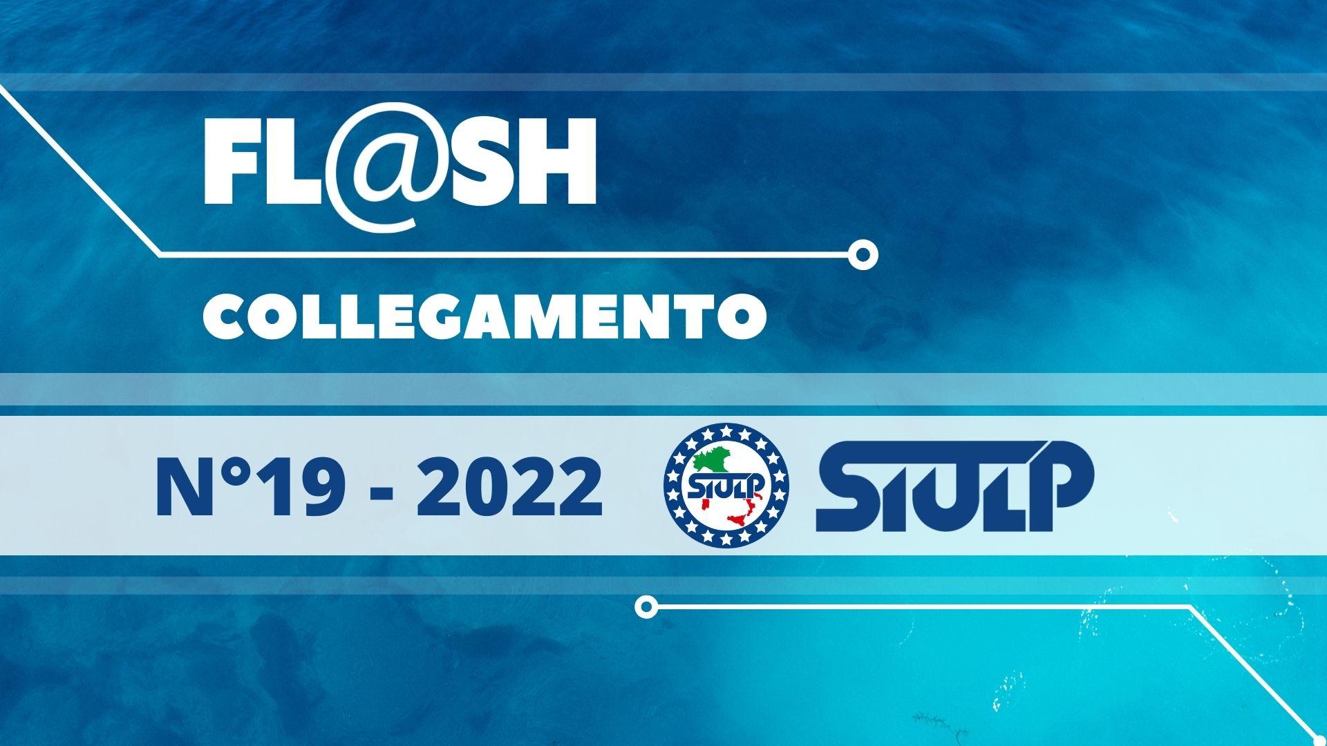 Flash 19 2022