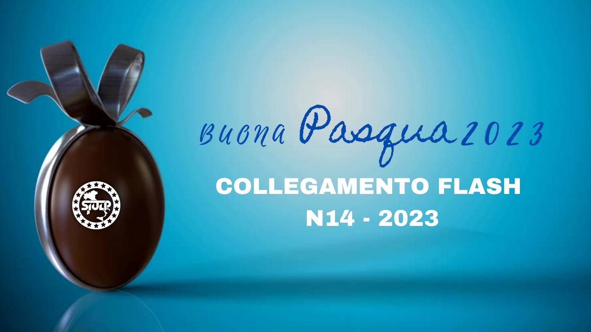 Flash 14 2023