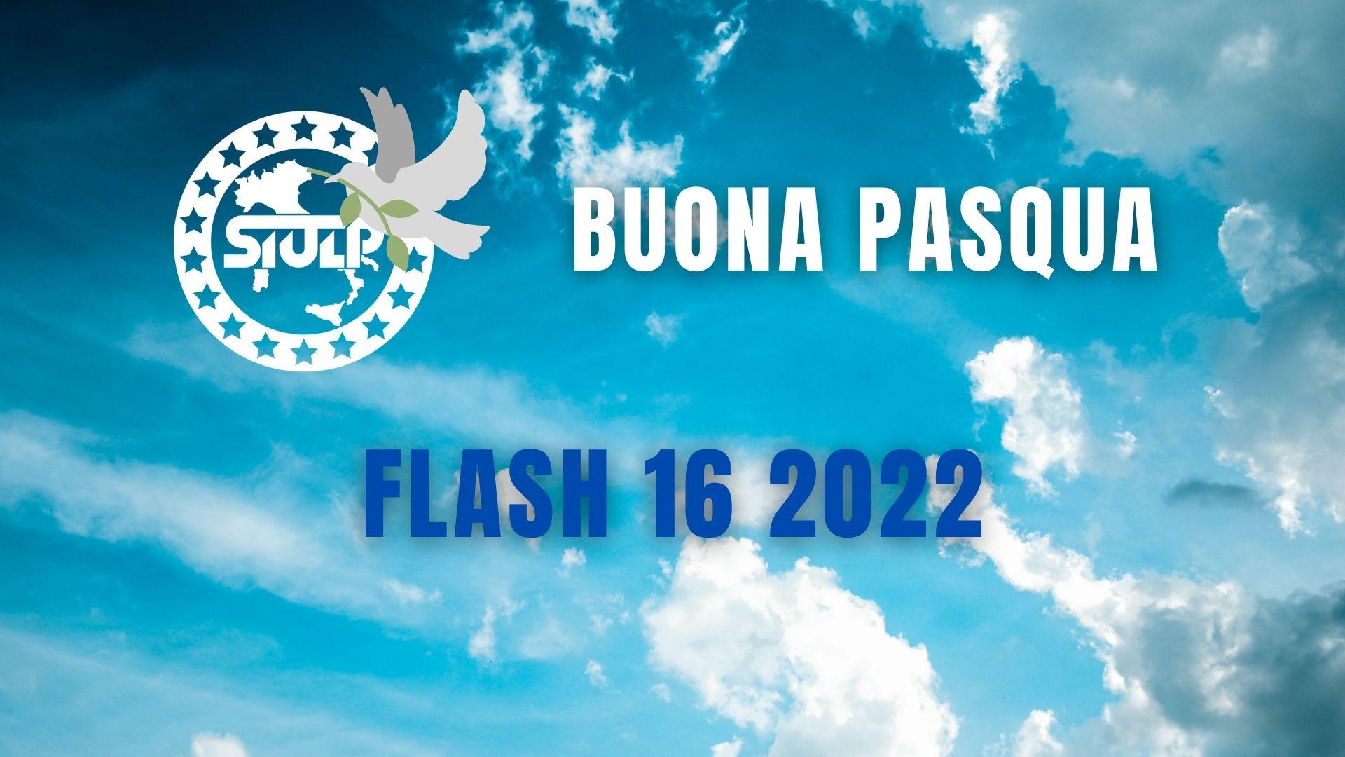 Flash 16 2022