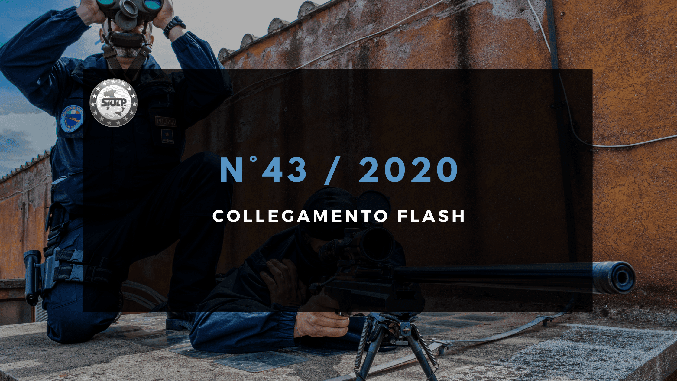 Flash 43 2020