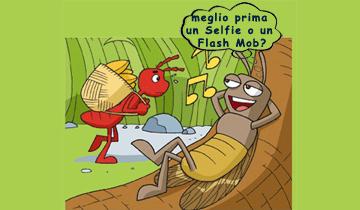Flash 35 2014