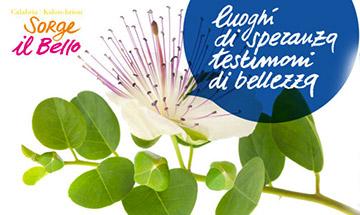 XXII Giornata