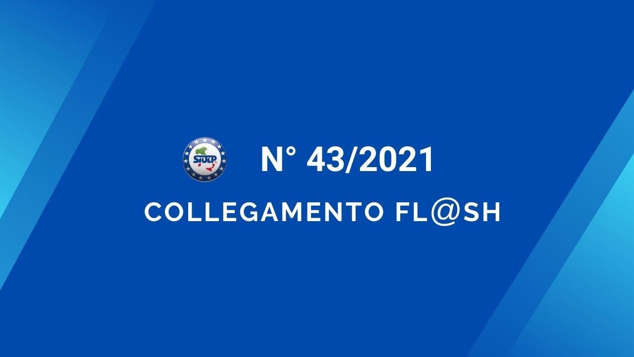 Flash 43 2021