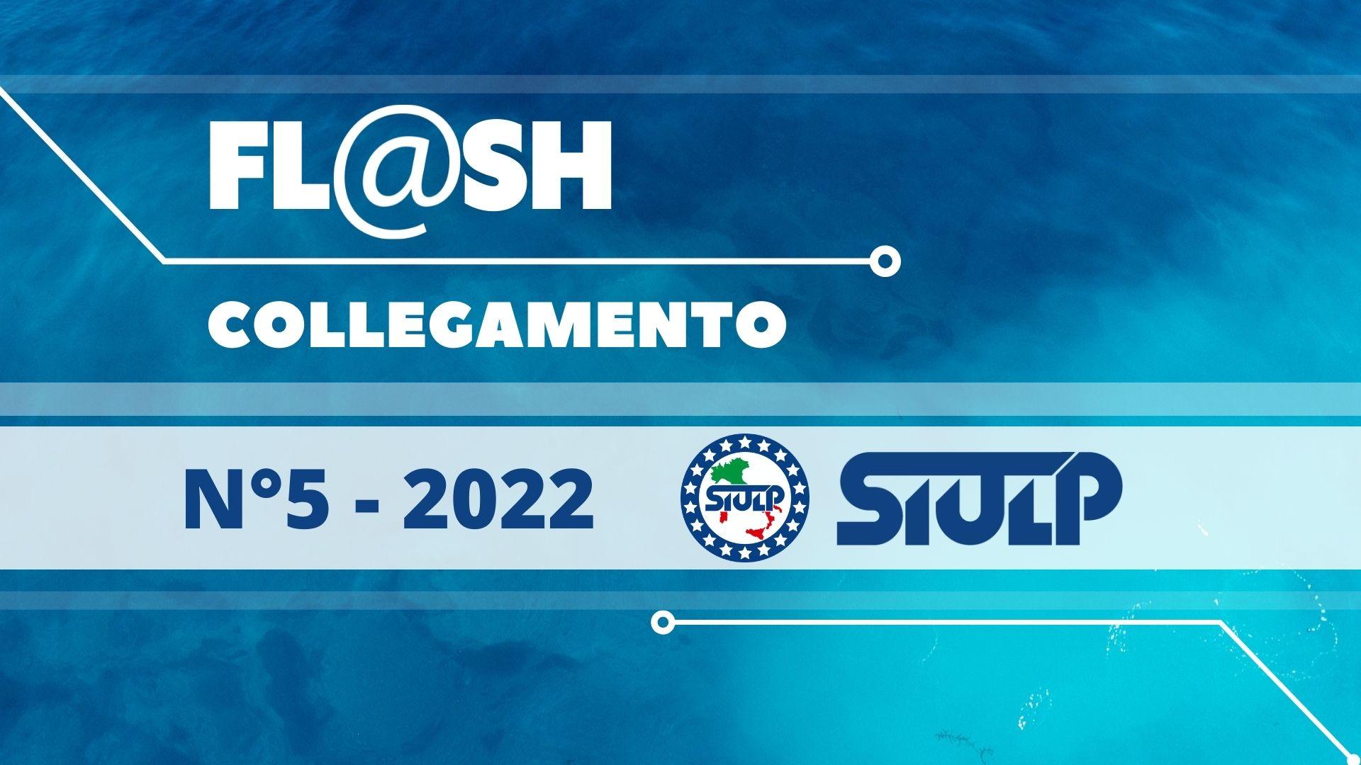 Flash 5 2022