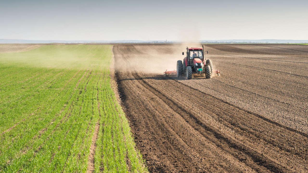 Rapporto di impiego nella polizia di Stato e svolgimento di attività agricola
