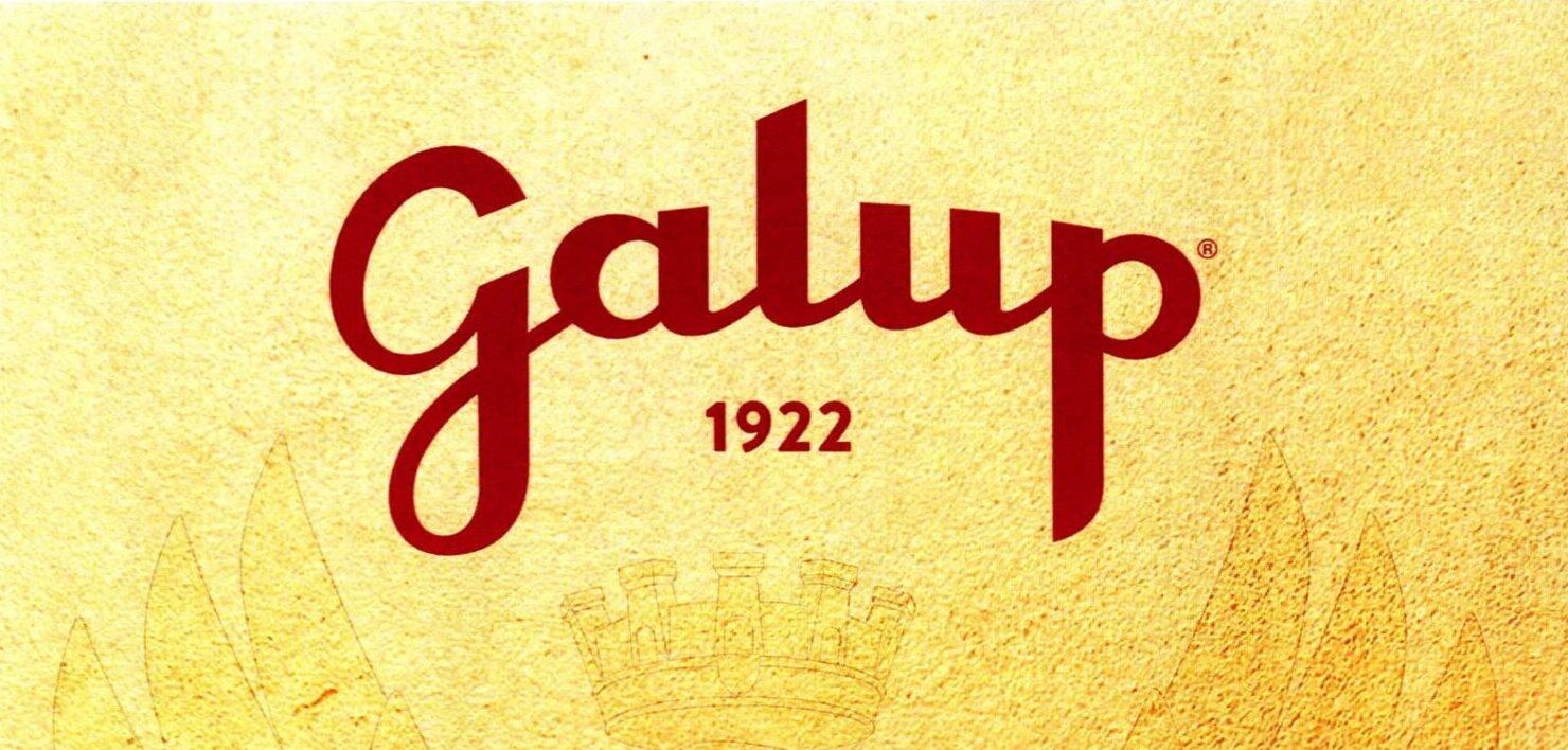 Progetto Polizia di Stato – GALUP Srl Panettone tradizionale 2025