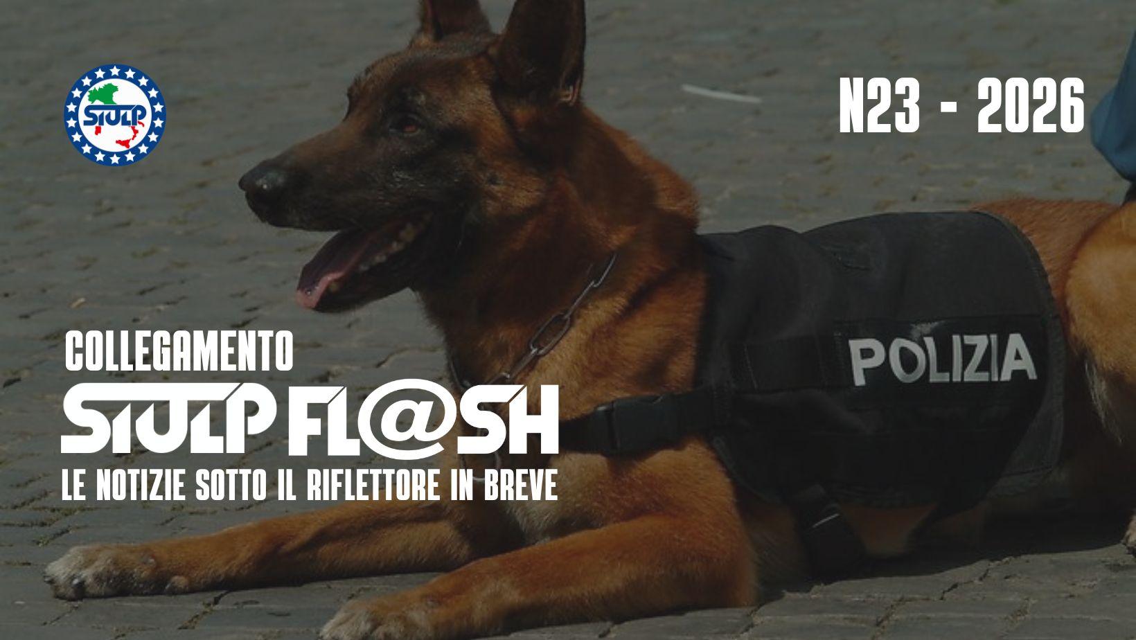 FLASH 23 2026
