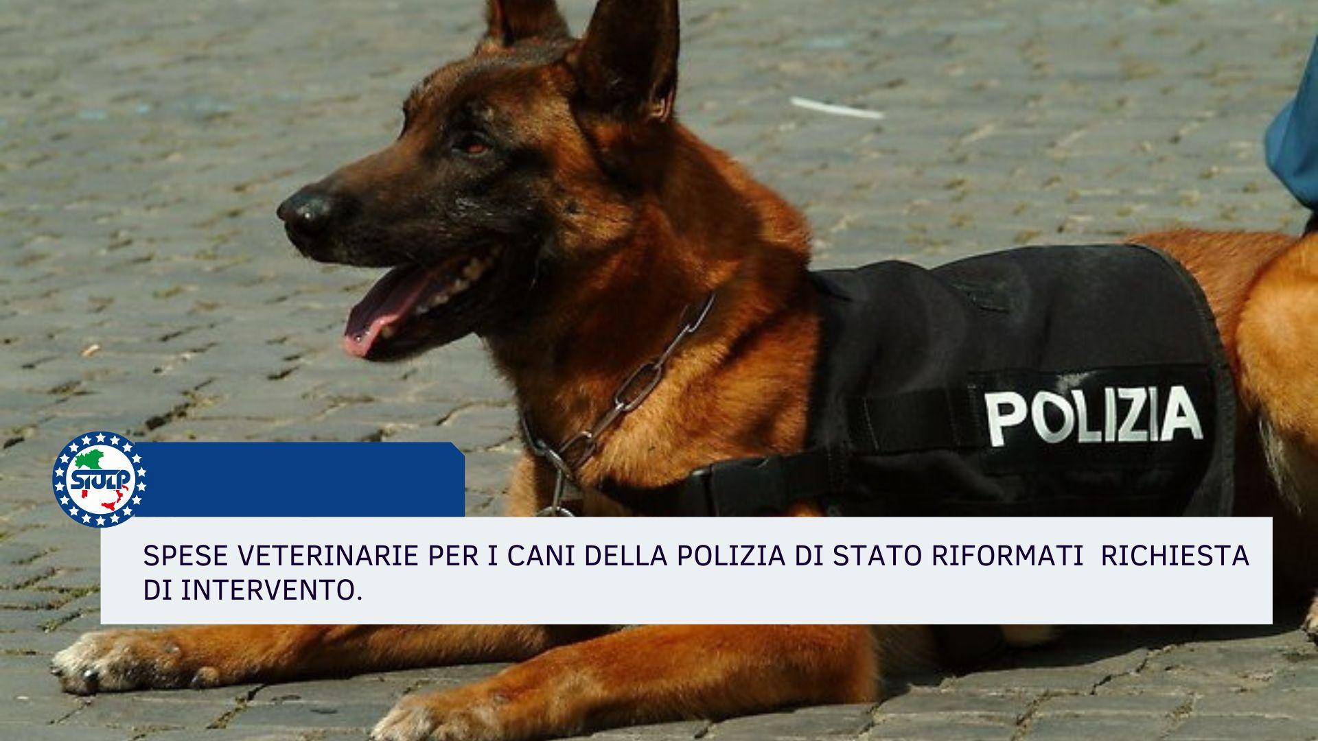 Spese veterinarie per i cani della Polizia di Stato riformati – Richiesta di intervento.