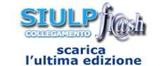 Flash 16 2013
