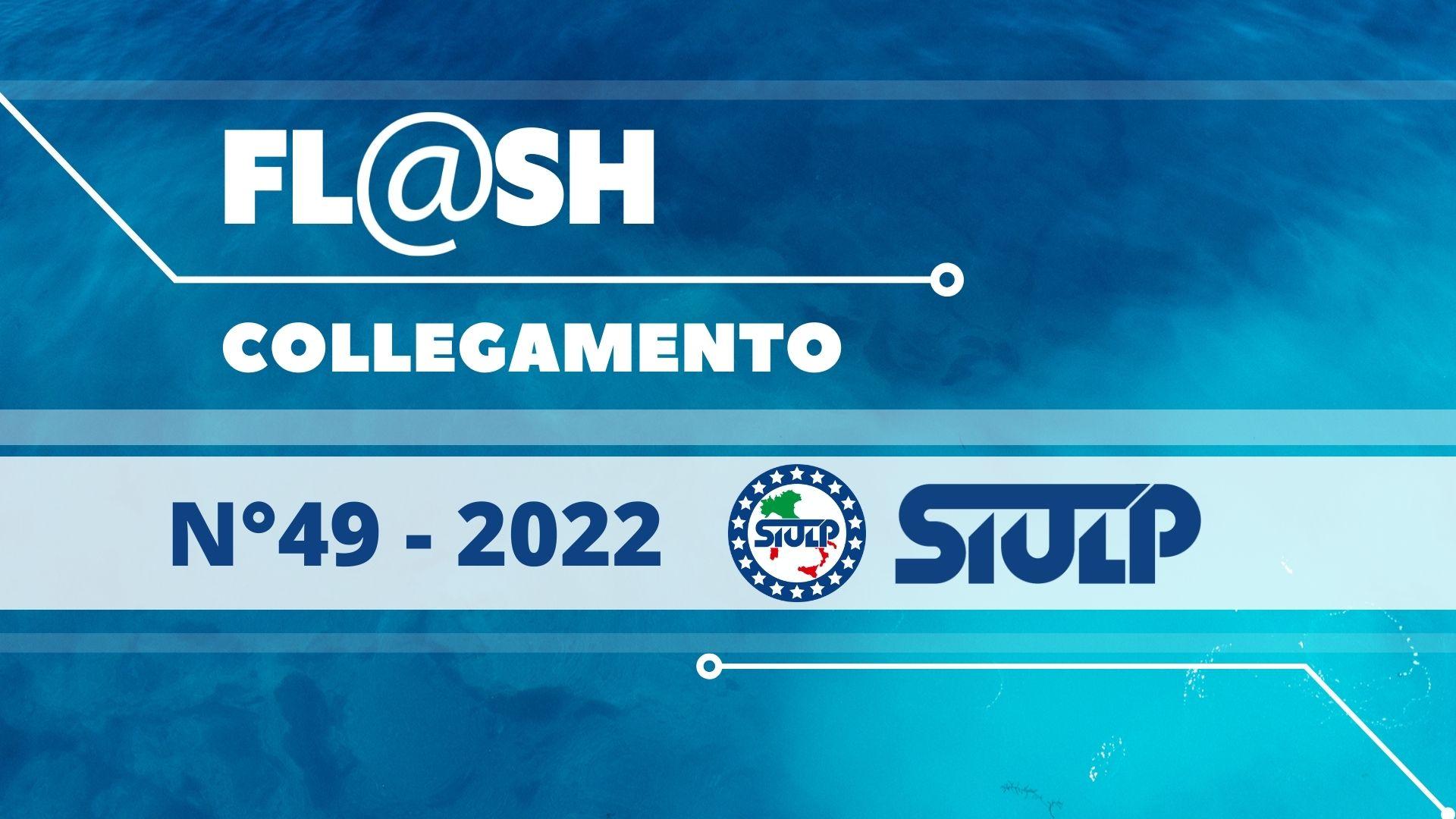 FLASH 49 2022