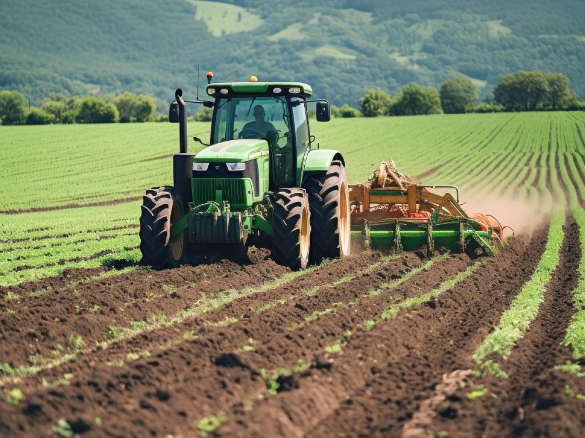 Dipendenti pubblici: ammessa la partita IVA agricola purché priva di scopi imprenditoriali