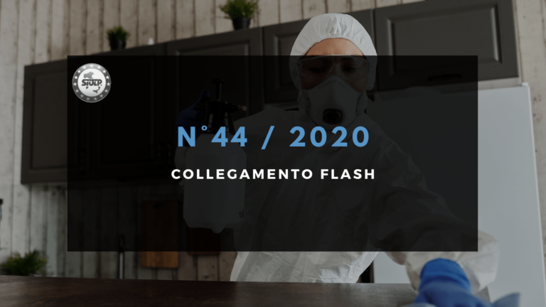 Flash 44 2020