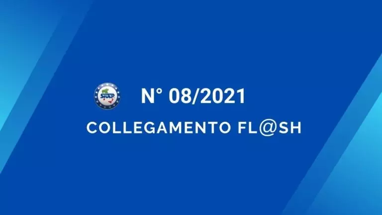 Flash 08 2021