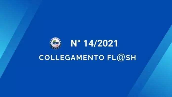 FLASH 14 2021