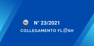 Flash 23 2021