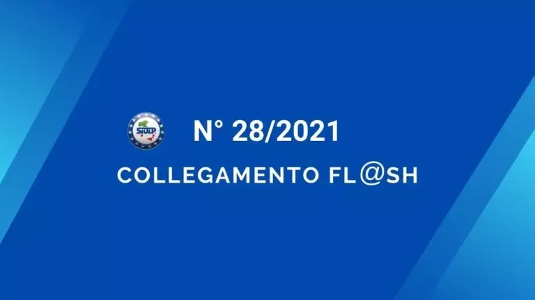 Flash 28 2021