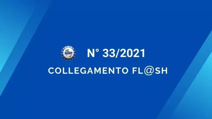 FLASH 33 2021