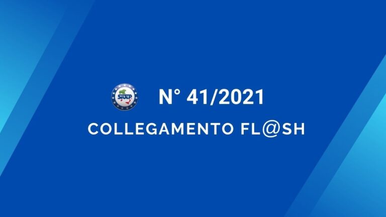 Flash 41 2021