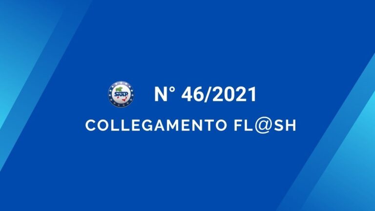 Flash 46 2021