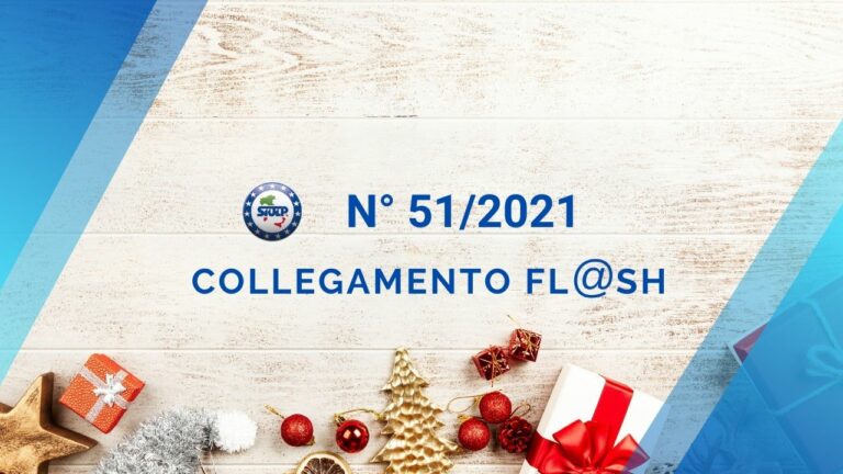 Flash 51 2021