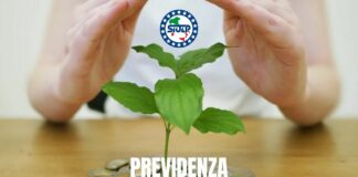 Effetti sulla pensione di reversibilità del reddito da locazione