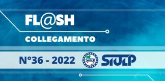 Flash 36 2022
