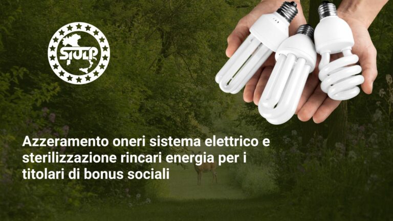 Azzeramento oneri sistema elettrico e sterilizzazione rincari energia per i titolari di bonus sociali