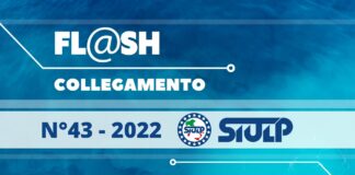 Flash 43 2022