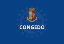 Modalità e termini di fruizione del congedo ordinario sentenza n.218/22 del 18 gennaio 2024