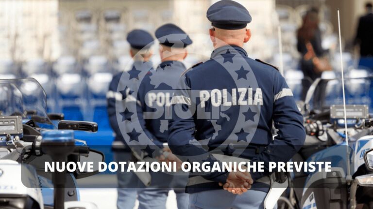 Nuove dotazioni organiche previste