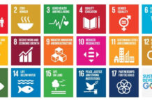 Mercato unico digitale e progetto SDG