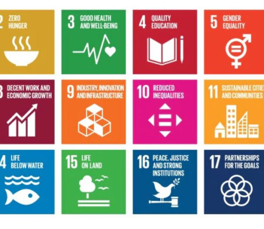 Mercato unico digitale e progetto SDG