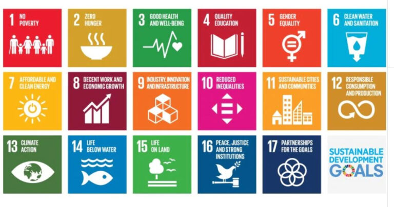 Mercato unico digitale e progetto SDG