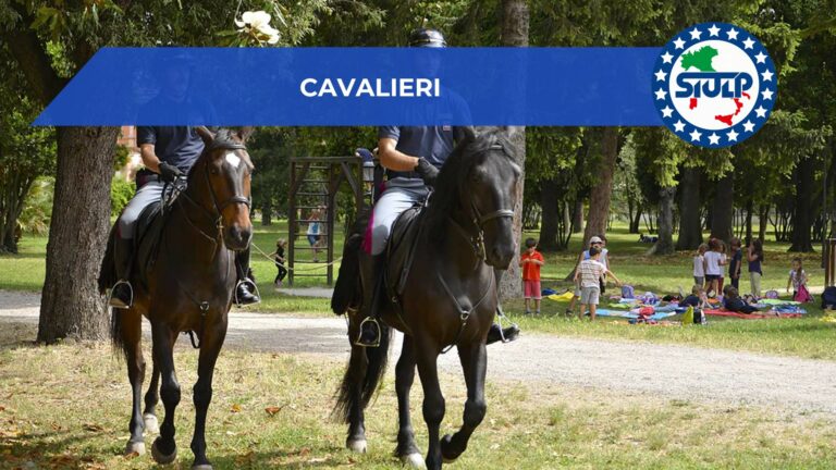 Selezione di personale “30° Corso di specializzazione per Cavalieri”