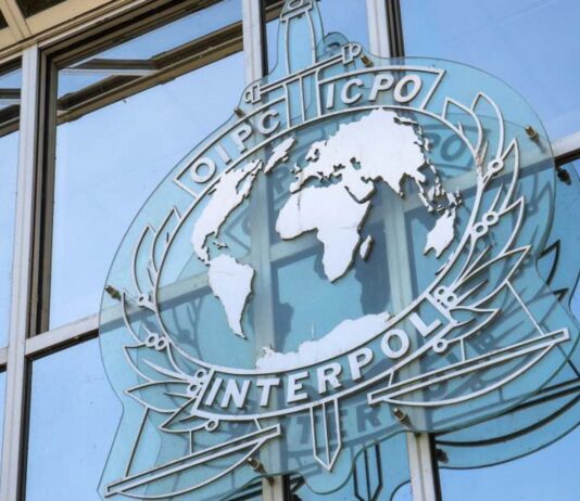 Circolare bando – Segretario Generale O.I.P.C. – INTERPOL ( MALESIA )