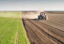 Rapporto di impiego nella polizia di Stato e svolgimento di attività agricola