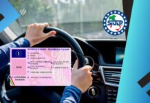 Patente di guida digitale: costi e modalità conseguimento