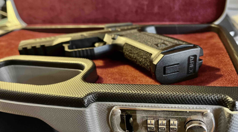 Legittimo l’obbligo di custodire le armi con ogni diligenza