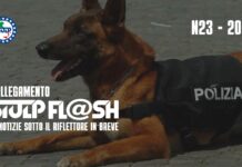 FLASH 23 2026