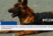 Spese veterinarie per i cani della Polizia di Stato riformati – Richiesta di intervento.