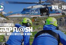 Flash 29 2026